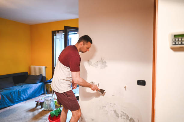 Best Post-Flood Mold Remediation in Maurice, LA